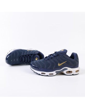 Nike Air Max Plus