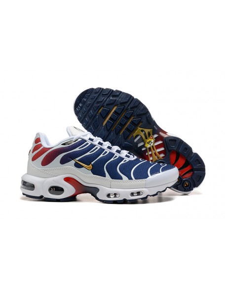 Nike Air Max Plus