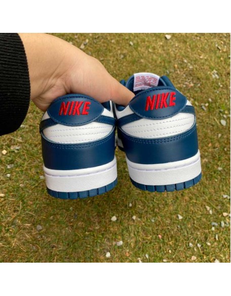 Nike SB Dunk Low 